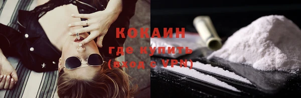 дживик Абаза