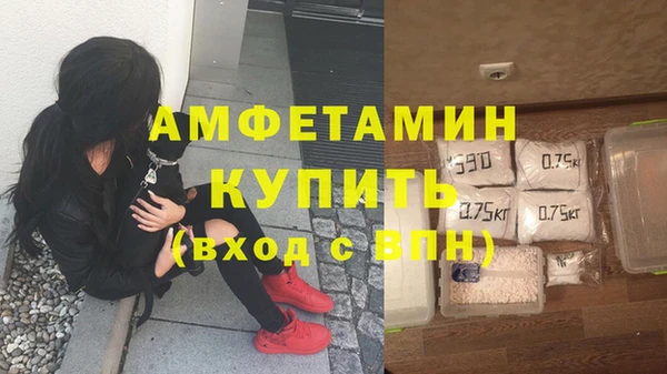 дживик Абаза