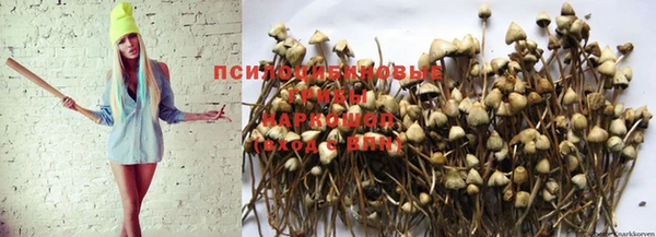 кокс Абинск