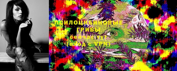 дживик Абаза