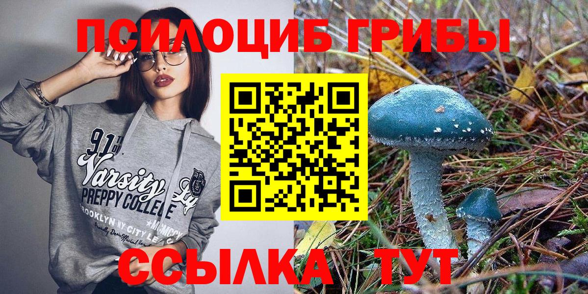 Орск  Псилоцибиновые грибы ЛСД  Вход с VPN 
