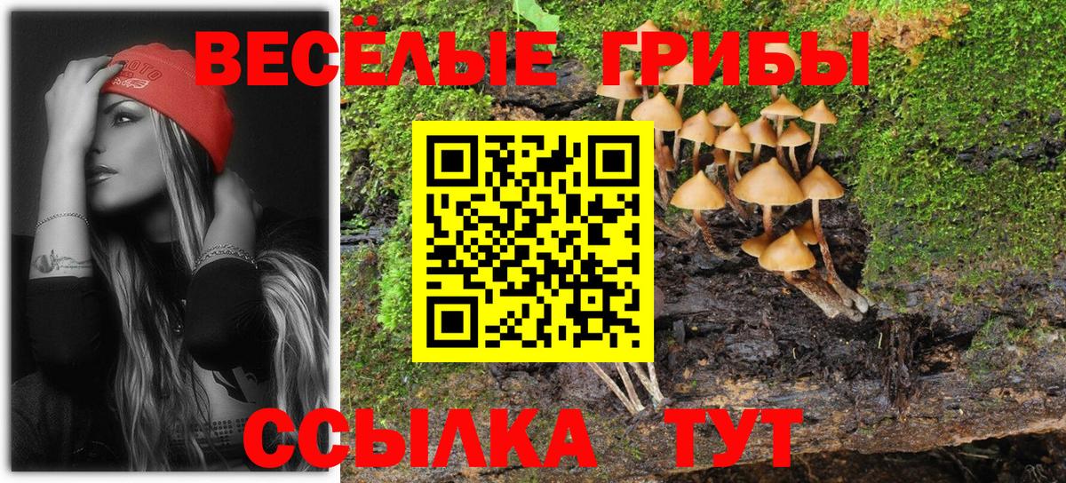 Галлюциногенные грибы GOLDEN TEACHER Орск